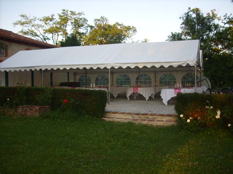 Château de Thegra_31130 BALMA_6